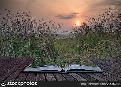 Creative concept pages of book Landscape view through uncultivated verge in countryside to rising sun