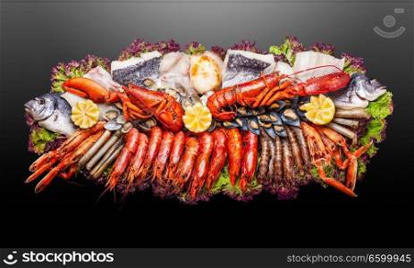 Creative concept photo of  sea food on plate on black background.