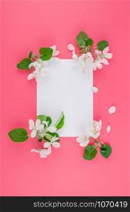 Creative flat lay concept top view of blank postcard frame mock up and apple tree flowers petals on pastel pink background with copy space in minimal style, template for lettering, text or your design