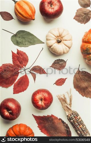 Creative Flat lay of various colorful little pumpkin, apples and fall leaves on white table background, top view. Autumn composing or pattern background , flat lay