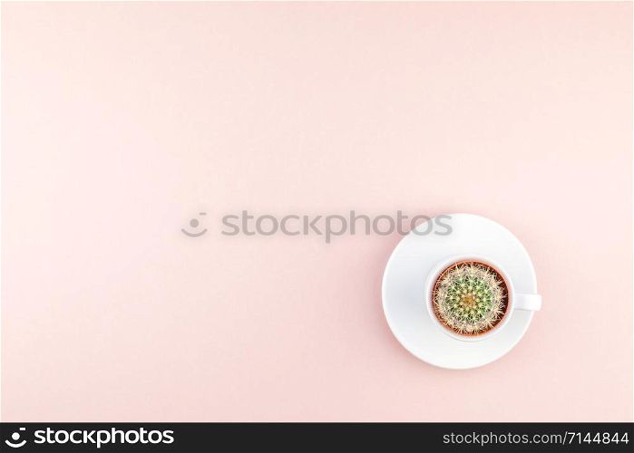 Creative flat lay overhead top view small pot with decorative cactus plant in cup with copy space millennial pink paper background in minimalism style. Trendy template for feminine blog social media