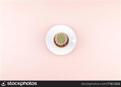 Creative flat lay overhead top view small pot with decorative cactus plant in cup with copy space millennial pink paper background in minimalism style. Trendy template for feminine blog social media