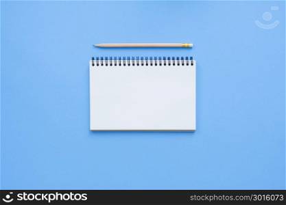 Creative flat lay photo of workspace desk. Top view office desk with open mock up notebooks and pencil and plant on blue pastel color background. Top view with copy space, flat lay photography.