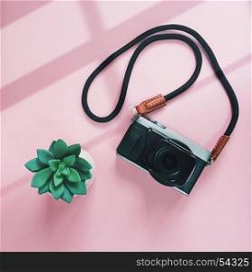 Creative flat lay style of camera and green plant on pink background with window light, minimal style