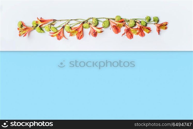 Creative floral border layout with exotic flowers on white and blue background, top view