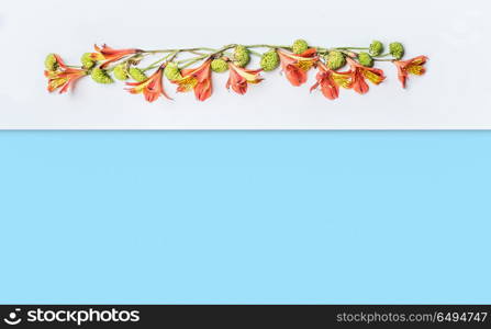 Creative floral border layout with exotic flowers on white and blue background, top view