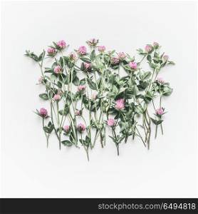 Creative floral layout made of wild flowers on white background. Flat lay, top view, copy space. Flowering red clover , Trifolium pratense. Summer concept
