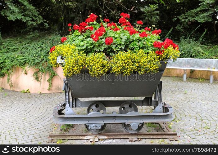 creative flower bed in the trolley