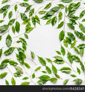 Creative layout frame, made with green branches and leaves , flat lay on white background, top view