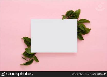creative layout made green leaves with paper card pink background