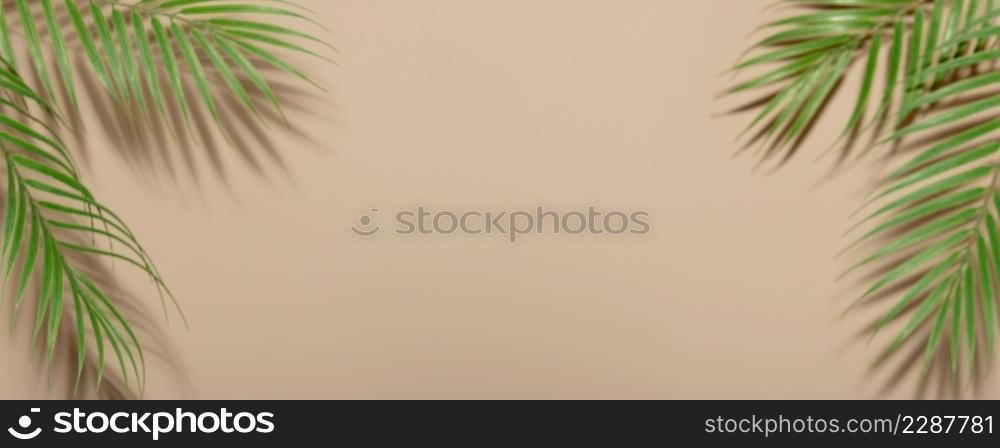 Creative layout made of colorful tropical leaves on beige background. Minimal summer exotic concept with copy space. Border arrangement. Banner