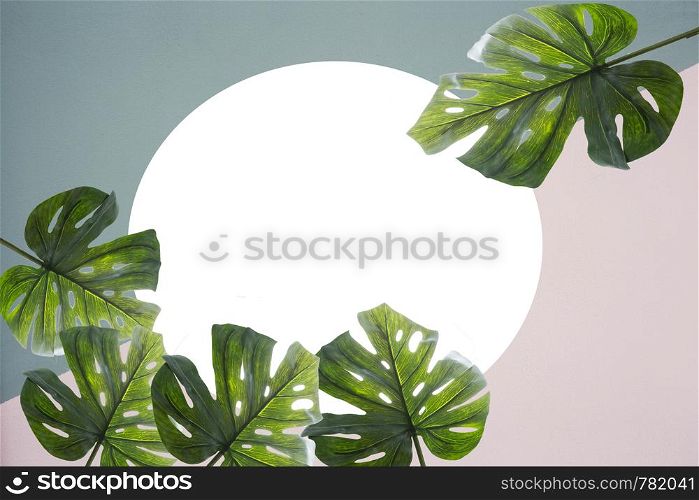 Creative layout made of colorful tropical leaves on white background. Minimal summer exotic concept with copy space. Border arrangement. space for text. Creative layout made of colorful tropical leaves on white background. Minimal summer exotic concept with copy space. Border arrangement.