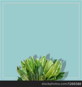 Creative layout made with tropical leaves on bright blue background with frame. Flat lay, copy space. Trendy social mockup or wallpaper.