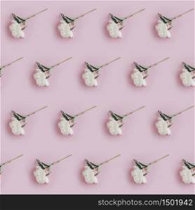 Creative layout made with white peony flowers on pink background. Flat lay. Flower composition