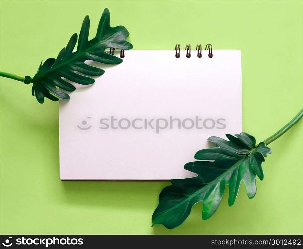 Creative nature layout made of tropical leaves with blank notebook on bright green background. Flat lay. Nature concept.