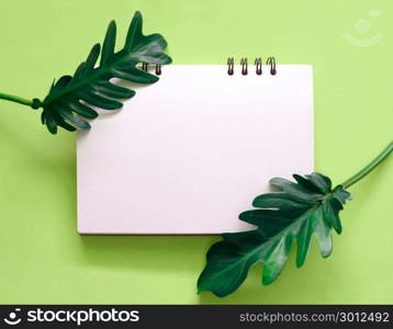 Creative nature layout made of tropical leaves with blank notebook on bright green background. Flat lay. Nature concept.