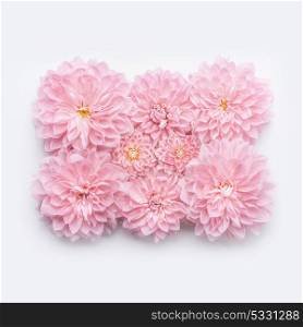Creative Pastel pink flowers flat lay, top view, horizontal. Layout or greeting card for Mothers day, wedding or happy event