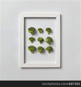 Creative pattern of natural freshly picked organic broccoli in a frame on a light gray background, place for text. Top view. Vegetarian food concept.. Fresh organic broccoli set in a frame on a light gray background.