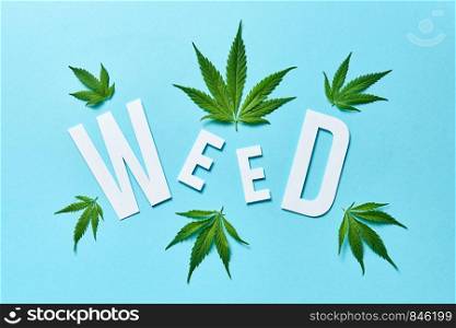 Creative pattern with green cannabis leaves and white paper word Weed on a light blue background.. Word Weed from paper with cannabis leaves on a pastel blue background.