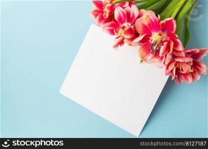 Creative spring composition of tulips with pastel blue paper and white sheet for inscription. Minimal flat lay concept. Ready postcard, banner. Creative spring composition of tulips with pastel blue paper and white sheet for inscription. Minimal flat lay concept. Ready postcard, banner.