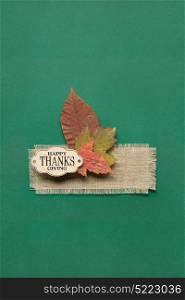 Creative thanksgiving day concept photo of leaves on green background.