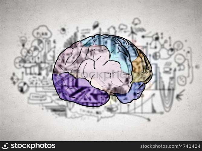 Creative thinking. Sketch of human brain and business ideas and strategy on white background