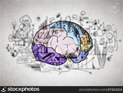 Creative thinking. Sketch of human brain and business ideas and strategy on white background