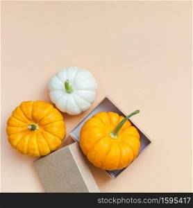 Creative Top view flat lay autumn composition. Frame concept pumpkins color paper background copy space. Square template fall harvest thanksgiving halloween anniversary invitation cards