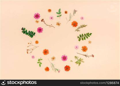 Creative Top view flat lay autumn composition. Frame made of dried flowers and leaves on color paper background with copy space. Template for fall harvest wedding anniversary invitation cards