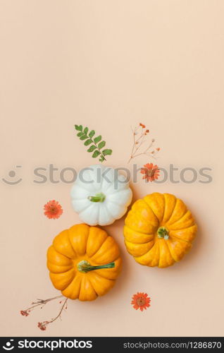 Creative Top view flat lay autumn composition. Frame made of pumpkins dried flowers leaves color paper background copy space. Template fall harvest thanksgiving halloween anniversary invitation cards