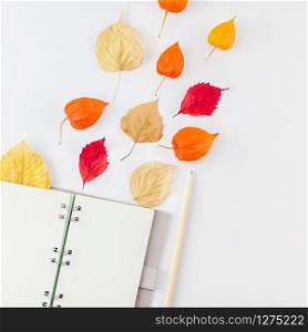 Creative Top view flat lay autumn composition Notebook dried orange flowers leaves background copy space Square Template notepad mockup fall harvest thanksgiving halloween anniversary invitation cards