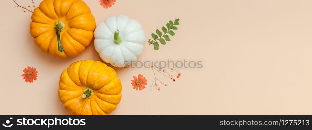 Creative Top view flat lay autumn composition Pumpkins dried flowers leaves color paper background copy space Template fall harvest thanksgiving halloween anniversary invitation cards Long wide banner