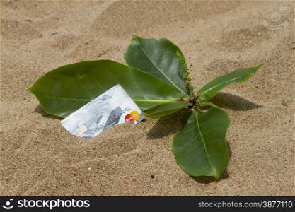 Credit card lying on the sand beach. India Goa.. Credit card lying on the sand beach. India Goa