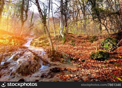 Creek in autumn mountain forest at sunrise