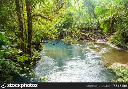 Creek in jungle. Beautiful stream water flowing down in rain forest. Costa Rica, Central America