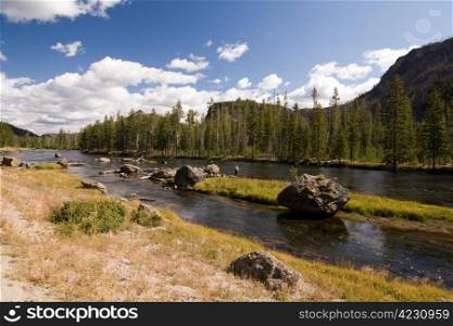 Creek in Mountains, Yellowstone National Park, USA