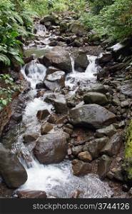 Creek in the rainforest of Guadeloupe, Caribbean