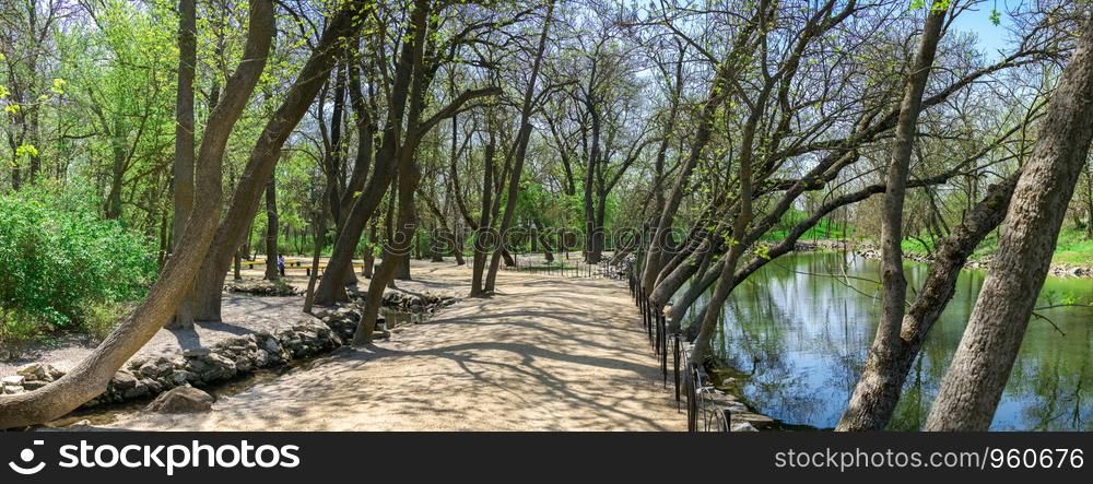 Creek in the territory of Askania-Nova reserve in Ukraine on a sunny spring day. Stream in Askania-Nova Nature Reserve in Ukraine