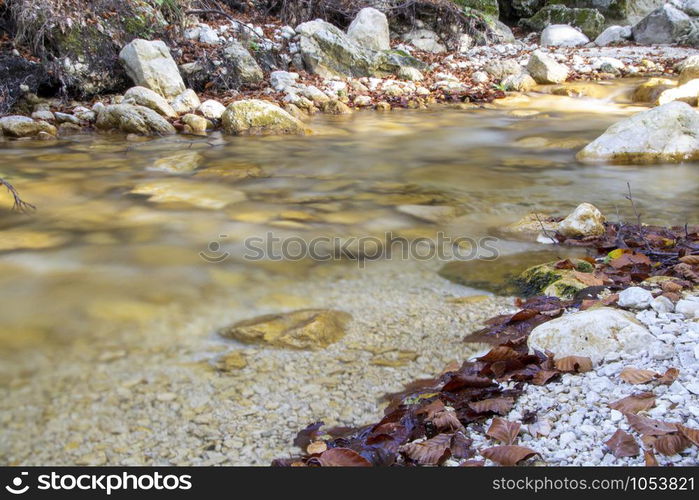 creek in the woods of val fondillo in autumn, Abruzzo national park, Italy