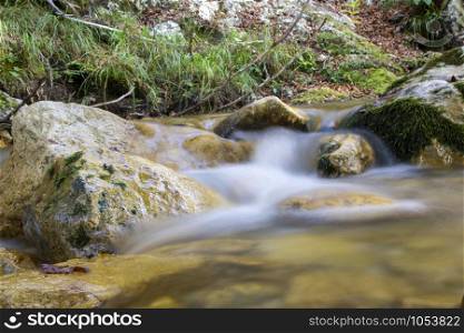 creek in the woods of val fondillo in autumn, Abruzzo national park, Italy