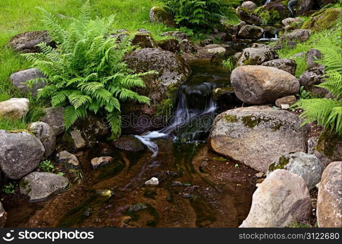 Creek in tropical forest