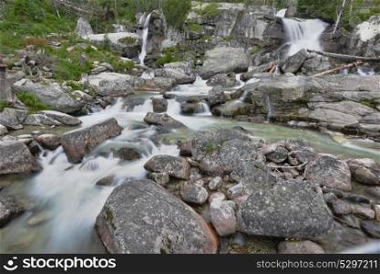 creek with running water in mountain