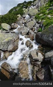 creek with running water in mountain
