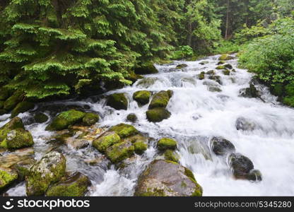 creek with running water in mountain