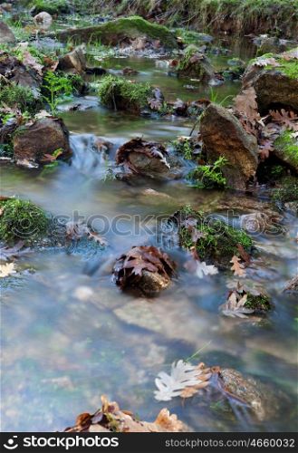 Creek with stones and leaves in autumn