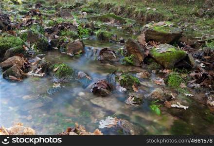 Creek with stones and leaves in autumn