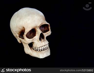 Creepy human skull on a black background