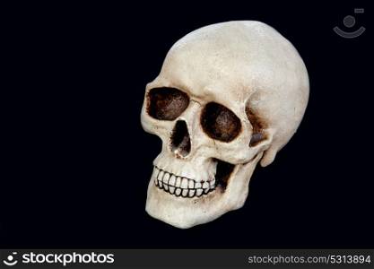 Creepy human skull on a black background
