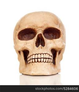 Creepy human skull on a white background