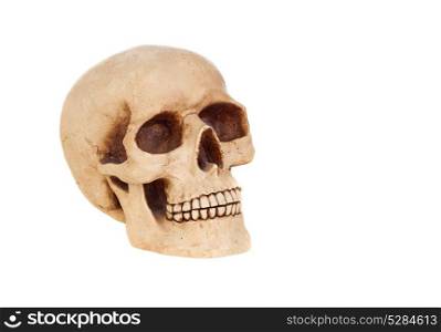 Creepy human skull on a white background